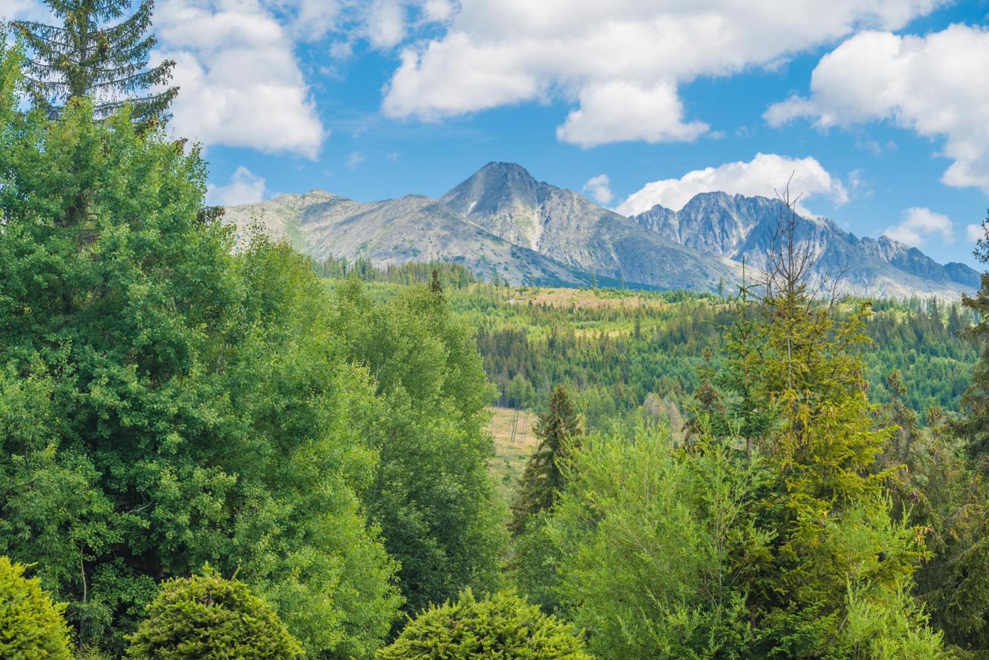 Sherpa'S Hostel High Tatras Štrbské Pleso エクステリア 写真